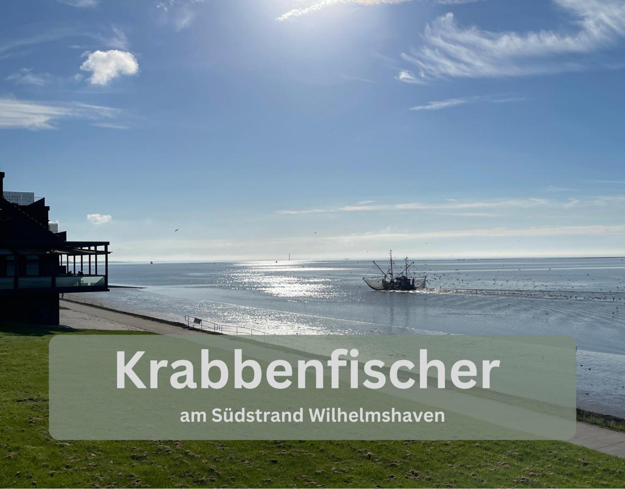 Lodge94 - Tinyhouse Kleiner Luxus Wilhelmshaven Buitenkant foto